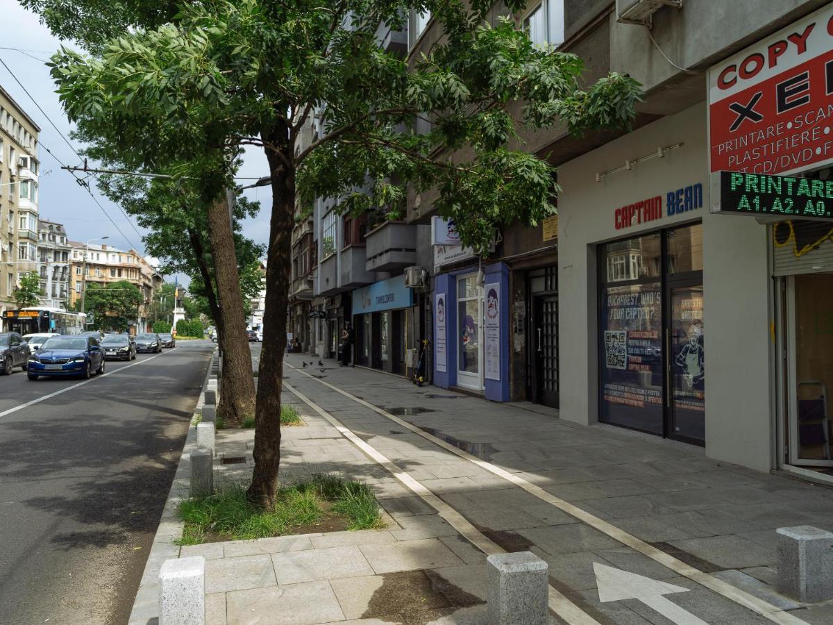 Beautiful Modern Studio - Cismigiu Park - Netflix Bucharest Luaran gambar
